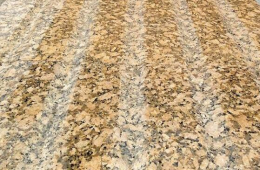 polished giallo fiorito granite